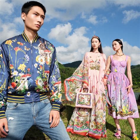 gucci and cabana|dolce and gabbana new collection.